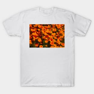 Afternoon Poppies T-Shirt